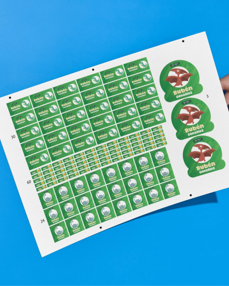 Foto de Stickers escolares | Dinosaurio Verde